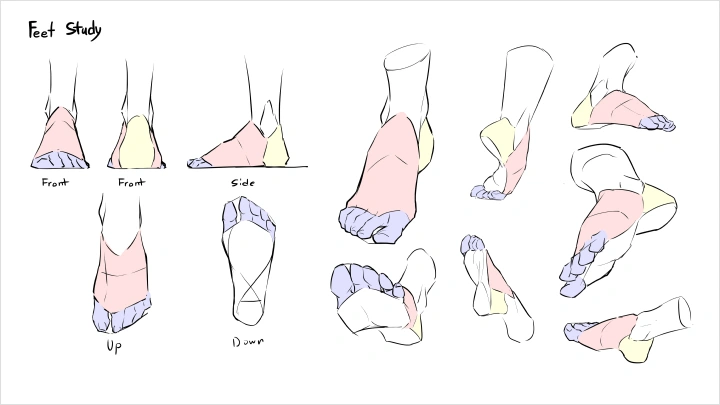 curriculum-illustrator-craizuss-us-section03-4.webp