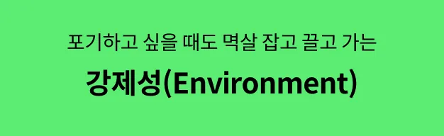 온라인캠프
