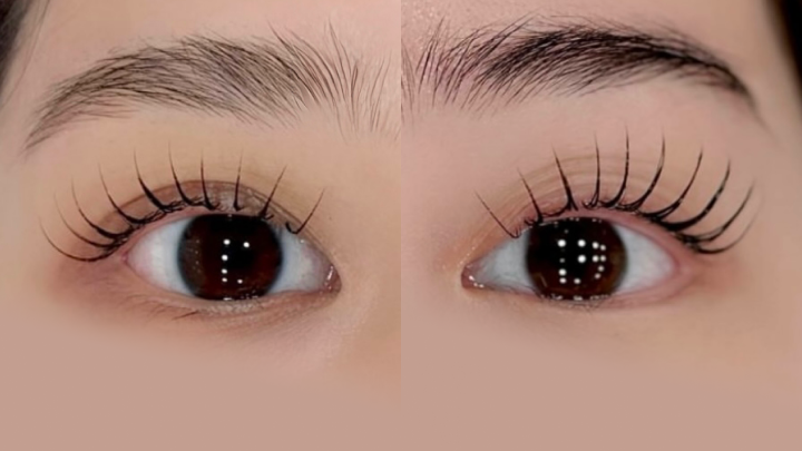 curriculum-lashartist-jindokyung-04.webp