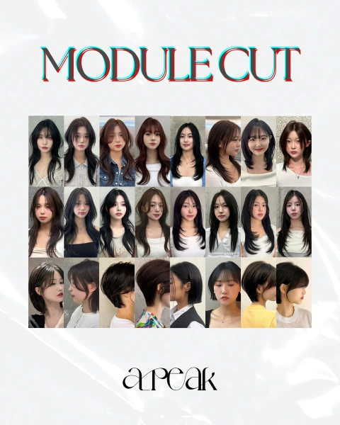 헤어디자이너, 서주형 포트폴리오