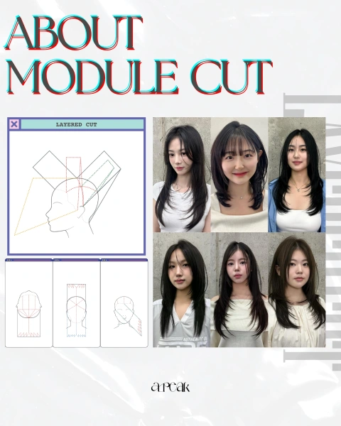 헤어디자이너, 서주형 포트폴리오