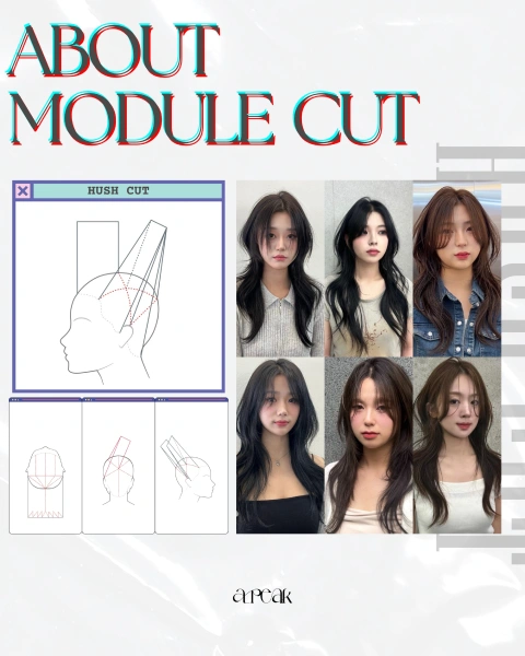 헤어디자이너, 서주형 포트폴리오