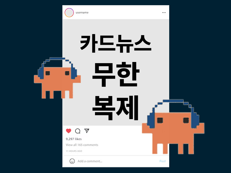 ImageSlide<style>   img {     border-radius: 5px !important;     overflow: hidden;   } </style> <b class="fc-h6">마케터를 위한 카드뉴스 무한 복제<br>w. 바이브코딩</b>