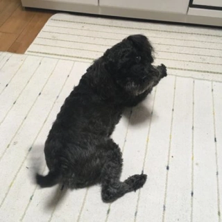 くろれきし