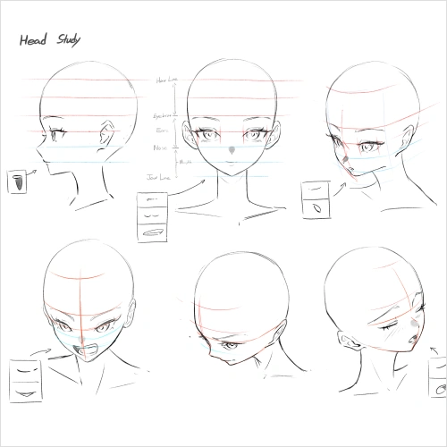 Illustrator, Craizuss Exercise