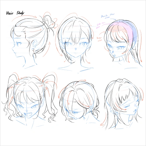Illustrator, Craizuss Exercise