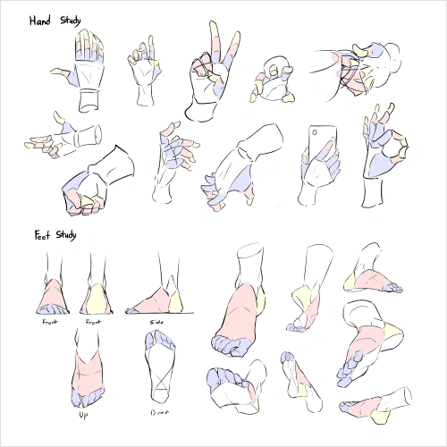Illustrator, Craizuss Exercise