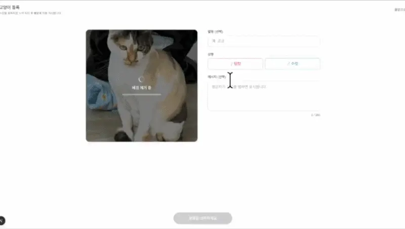 ImageSlide<b><span style="color:#91C419;">Day 23 </span>고양이 자랑 프로그램</b>