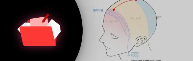 웹툰 작가, 효빈