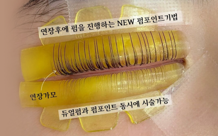 세렌뷰트 대표 진도경-image