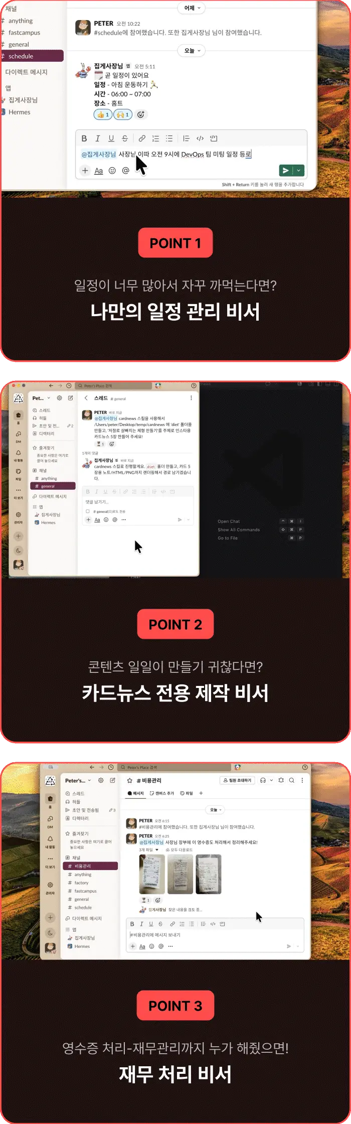이미지 설명