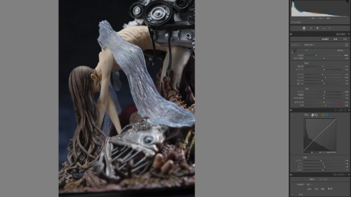 curriculum-figurephotographer-sachihira-jp-6.webp