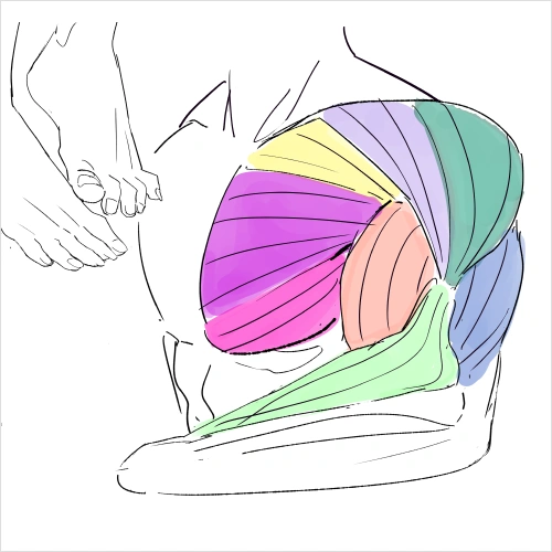 Illustrator, Kiritzugu Exercise