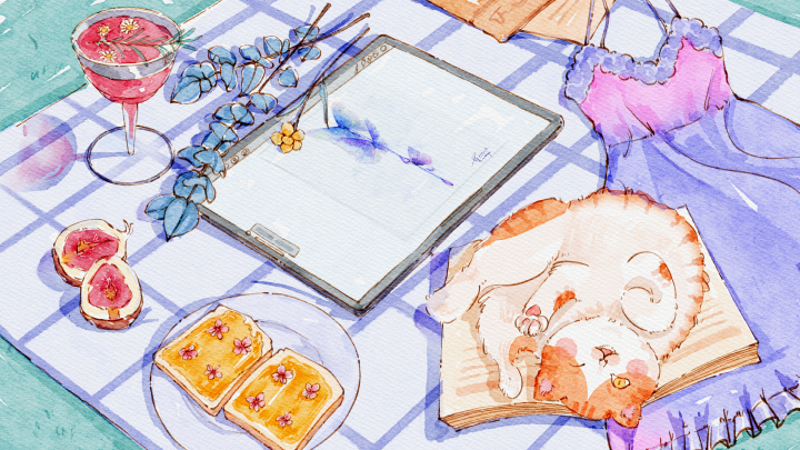 curriculum-illustrator-angla-zh-01.webp