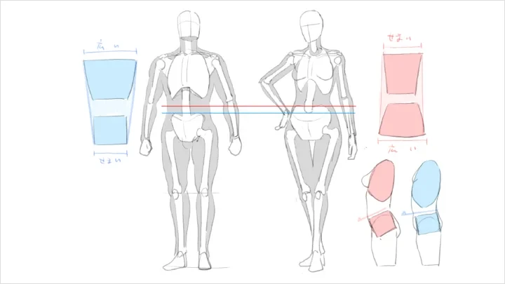 curriculum-freeanimator-hide-jp-3-2.webp
