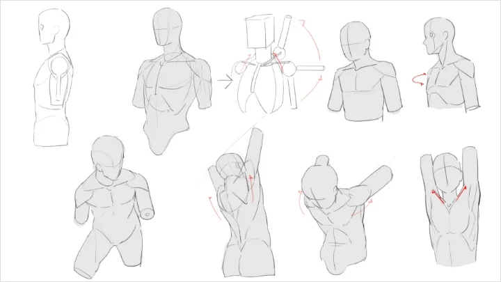 curriculum-freeanimator-hide-jp-5-4.webp