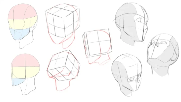 curriculum-freeanimator-hide-jp-6-1.webp