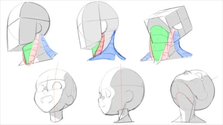 curriculum-freeanimator-hide-jp-6-2.webp
