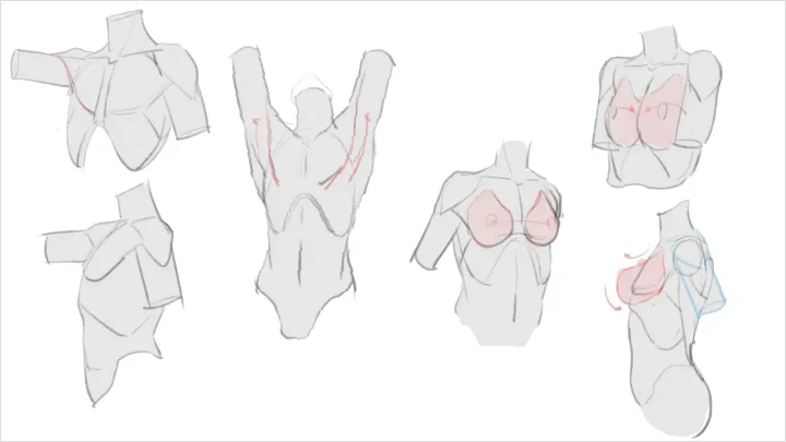curriculum-freeanimator-hide-jp-6-3.webp