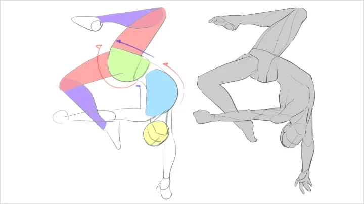 curriculum-freeanimator-hide-jp-8-1.webp