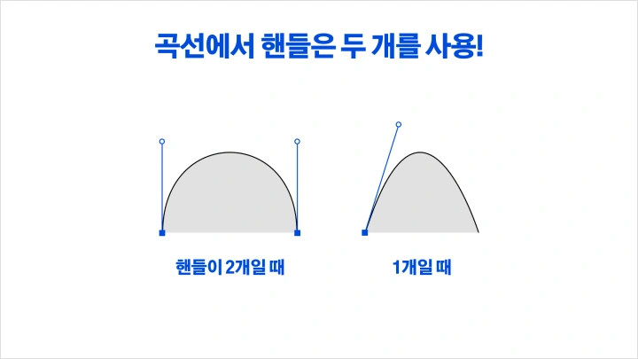 curriculum-graphicdesign-futuredrops-1-2.webp