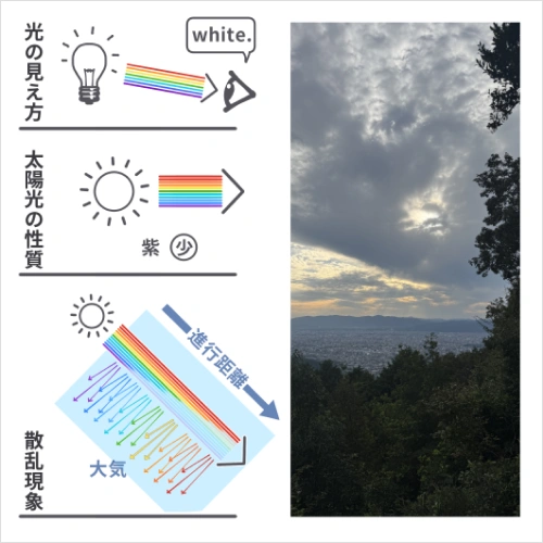 イラストレーター kajatony 講座の例題