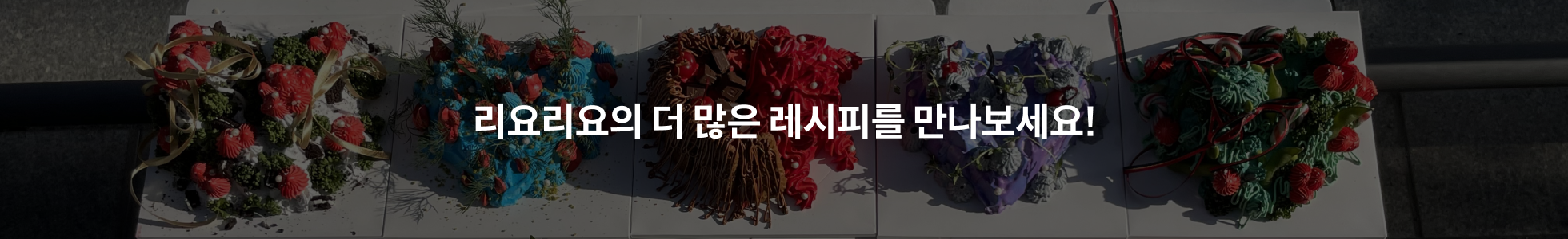 리요리요 대표, 이요한