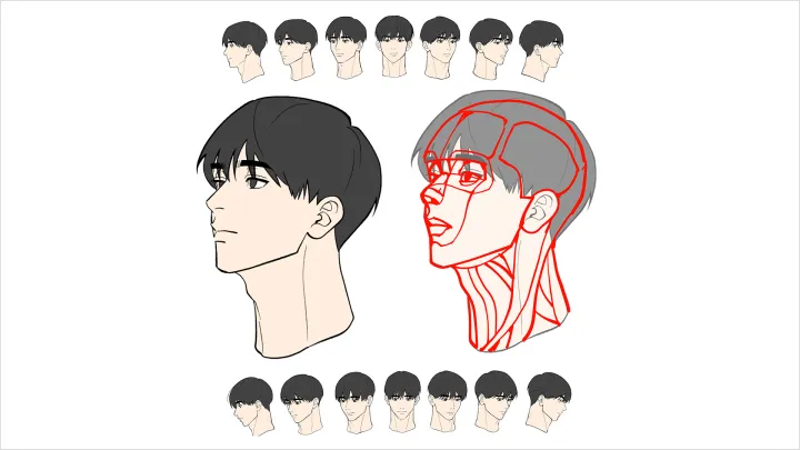 curriculum-webtoonartist-piann-zh-section03-2.webp