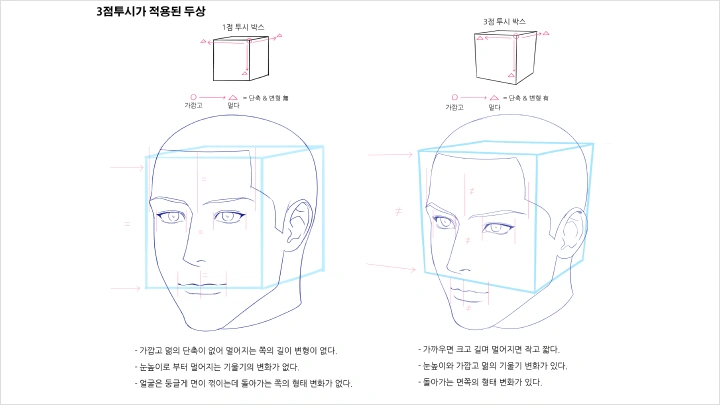 curriculum-illustrator-angyeong-3-2.webp