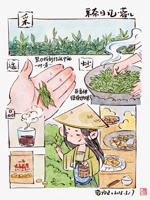 Illustrator, Angla portfolio