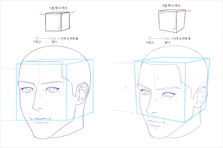일러스트레이터, 안경 강의예제