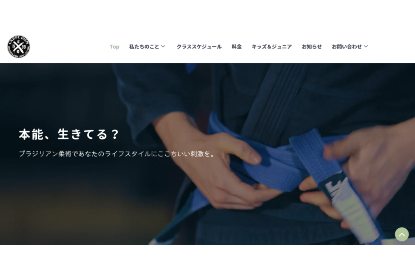 コピーライター 長井謙 ポートフォリオ