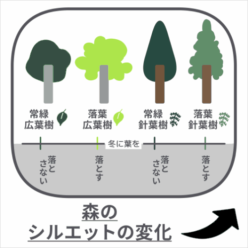 イラストレーター kajatony 講座の例題