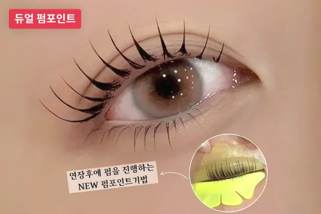 세렌뷰트 대표, 진도경