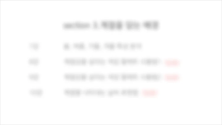 curriculum_illustrator_ryane_01_1.webp