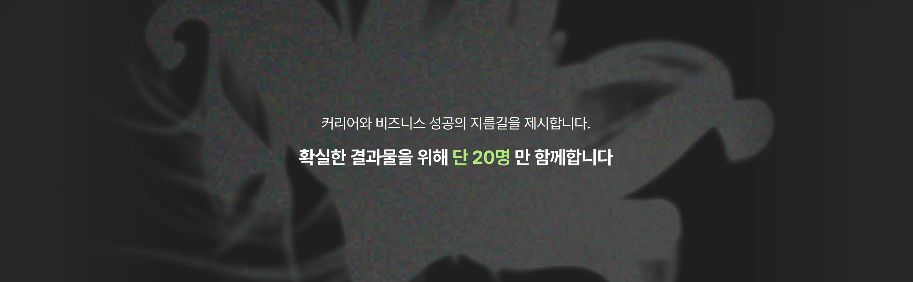 공간장식,꽃 유학,꽃유학,부케,브랜드협업 포트폴리오,쎄종플레리,유학보다 더 현실적으로 남고, 국내 클래스보다 더 깊게 남을 4주 간의 워크숍,플로리스트,플로리스트 워크숍,현장경험,꽃,플라워,플로리스트 창업,플로리스트 커리어,플로리스트 취업,플로리스트 유학,플로리스트 워크샵,플로리스트 학원,플로리스트 포트폴리오