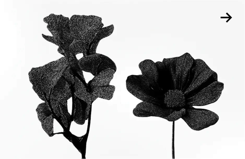 ImageSlide<b>Step 02. 디자인 구상 & 제작</b>