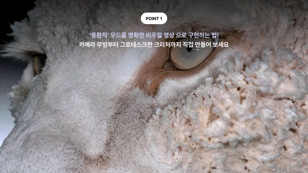 엔터 비주얼