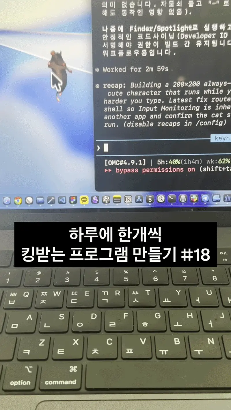 ImageSlide<b><center>[ 타자 치면 더 빨리 춤 추는 쥐 ]</b></center>