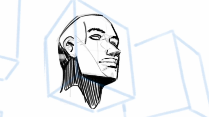 curriculum-illustrator-rileykayote-us-03-4.webp
