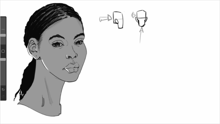 curriculum-illustrator-rileykayote-us-05-2.webp