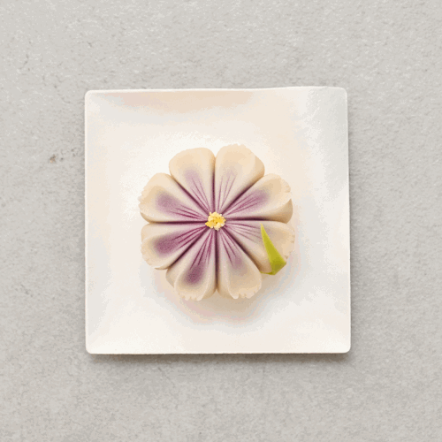 앙보화 대표, 박혜선 강의예제