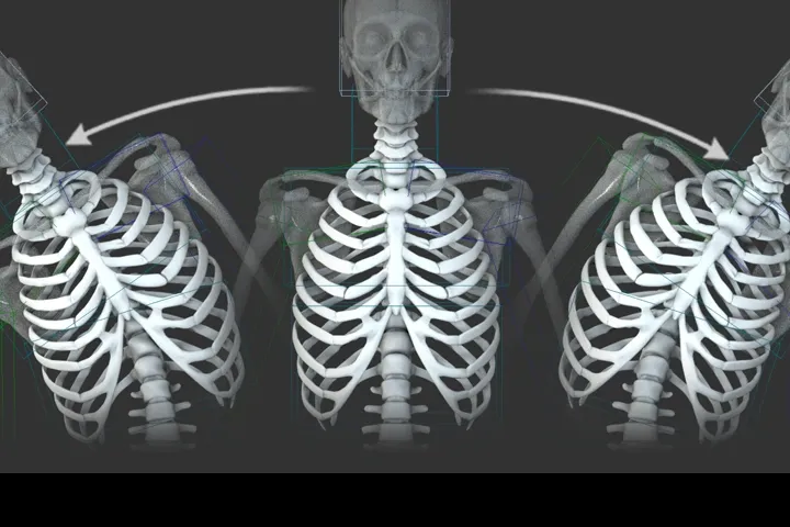 3D Animator, Dahong Kim