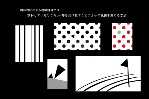 <p><strong>Understanding Optical Illusions</strong></p>