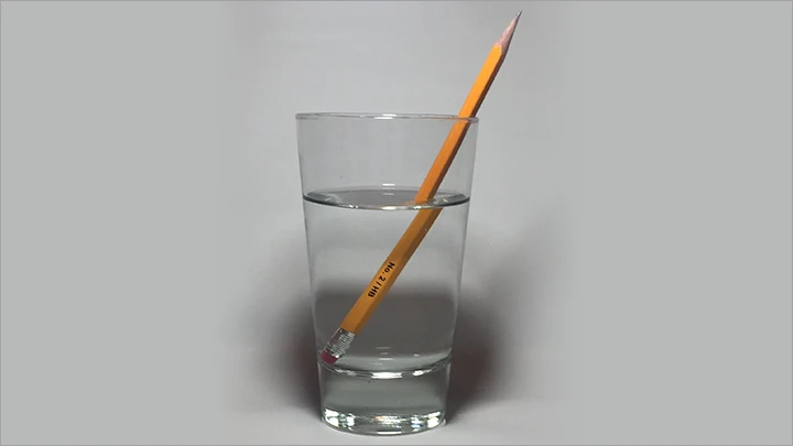 curriculum-dub-illustrator-mogoon-jp-4-4.webp
