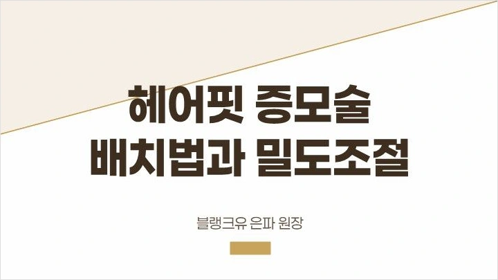 curriculum-hairdesigner-eunpa-4.webp