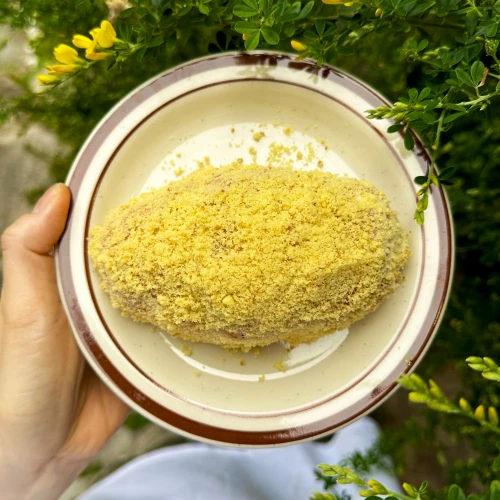 하우스멜대표, 조현정, 조현주 강의예제