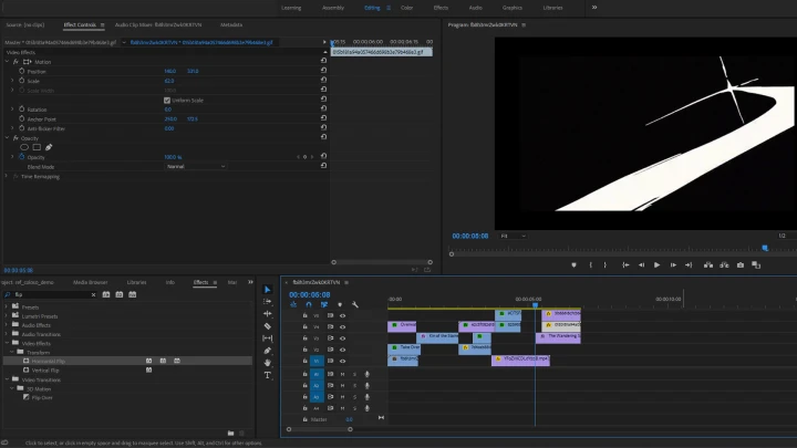 curriculum-3danimator-joelho-us-02.webp