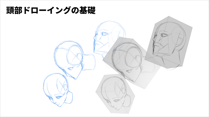 curriculum-illustrator-kitune-jp-1-1.webp