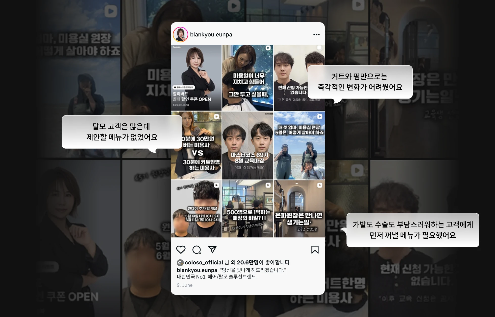 증모술 전문가 은파